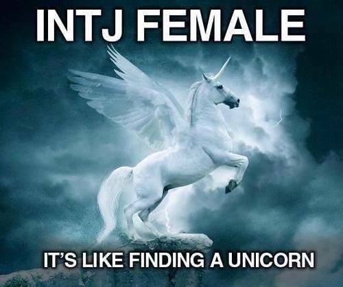 intj meme 5